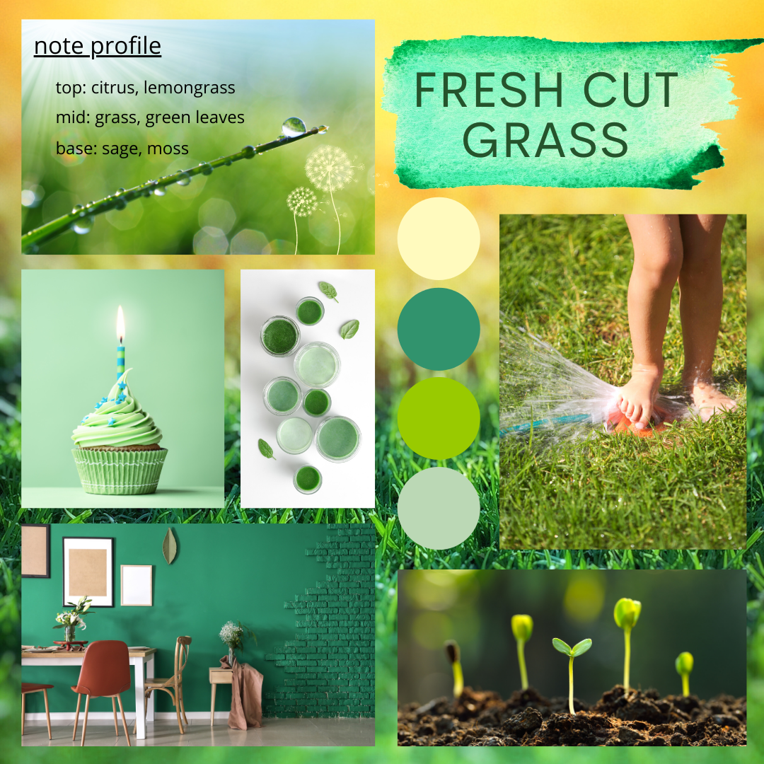Fresh cut grass mood board. children playing in fresh cut grass, shades of green, cupcakes